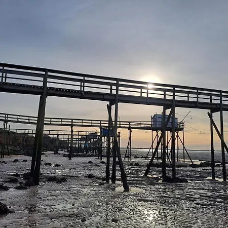 Nidbleu17 Maison Neuve Entre Ocean Et Campagne Le Port-des-Barques