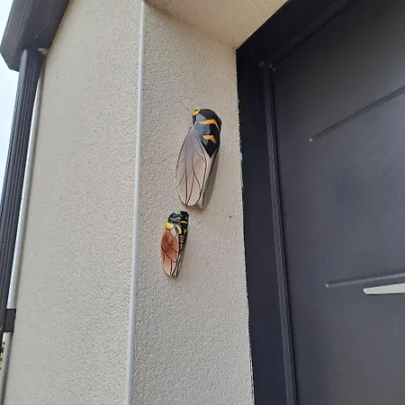 Nidbleu17 Maison Neuve Entre Ocean Et Campagne