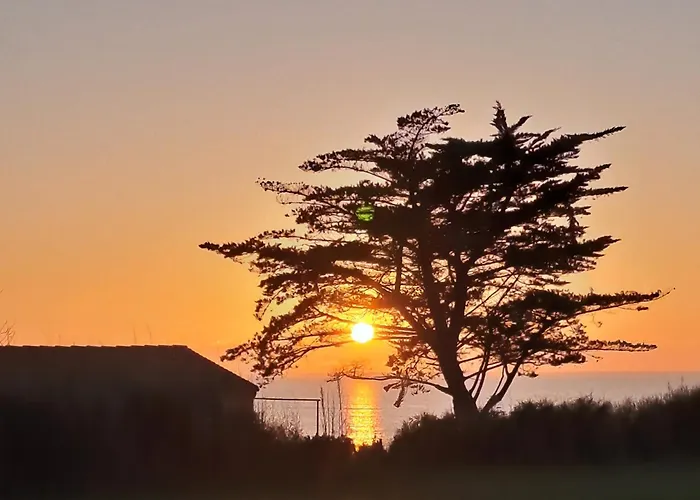 Nidbleu17 Maison Neuve Entre Ocean Et Campagne *